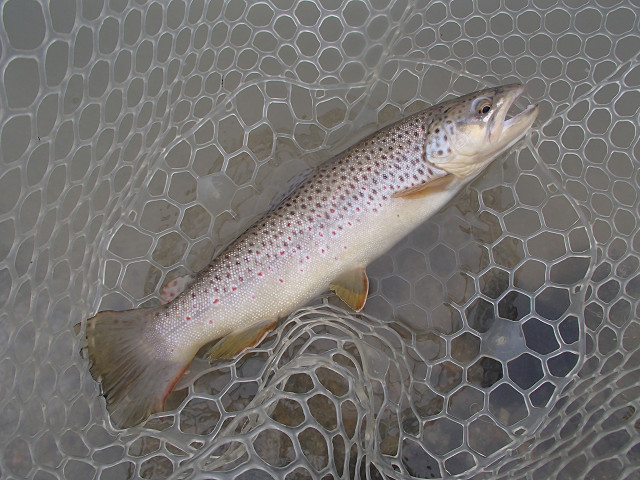f0065341_2132343.jpg