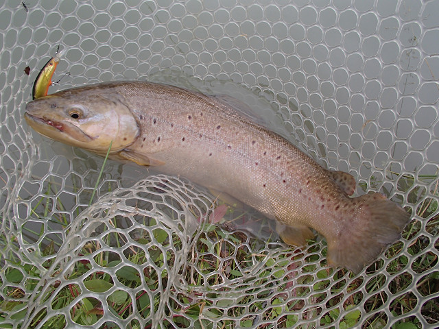 f0065341_2152099.jpg