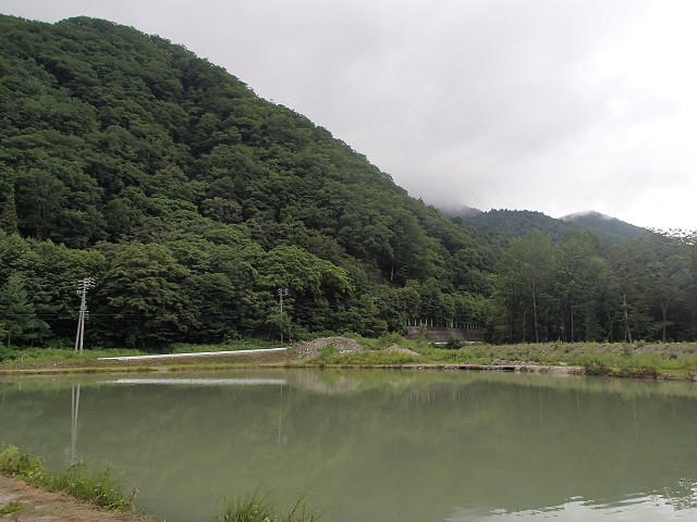 f0065341_2154158.jpg