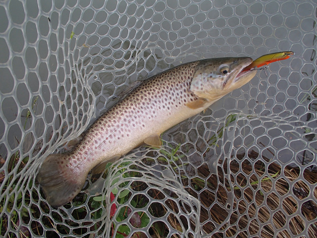 f0065341_2183320.jpg