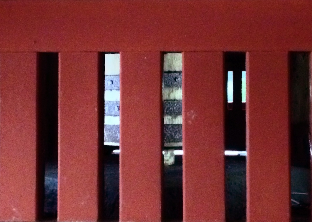a0119252_9251173.jpg
