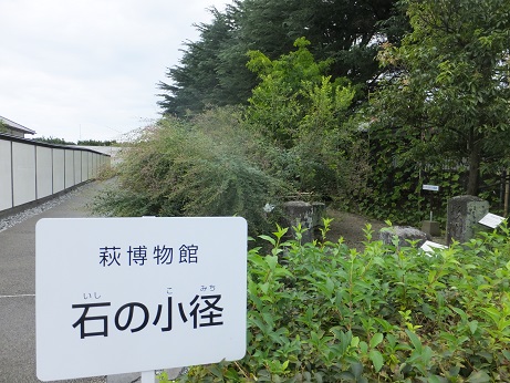 f0113862_1728068.jpg