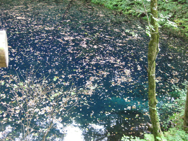 f0345263_00122777.jpg