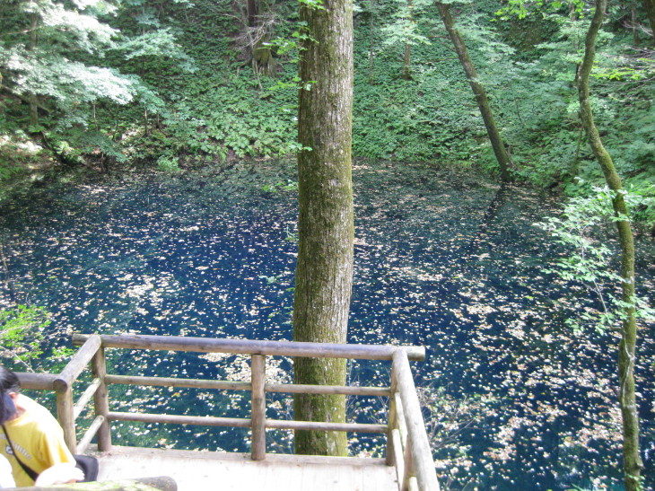 f0345263_00144894.jpg