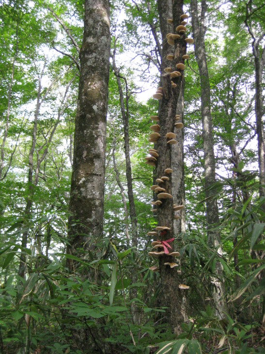 f0345263_00344768.jpg