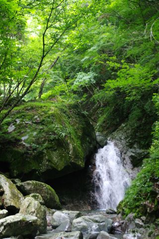 e0045768_223971.jpg