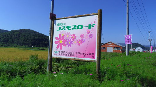 f0187168_1049246.jpg