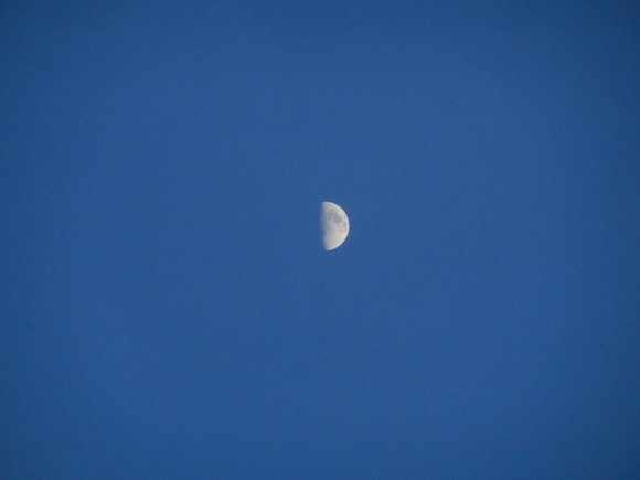 e0292172_2039311.jpg