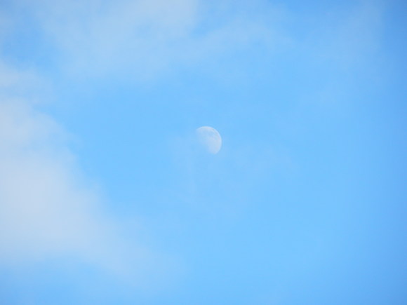 e0292172_20424566.jpg