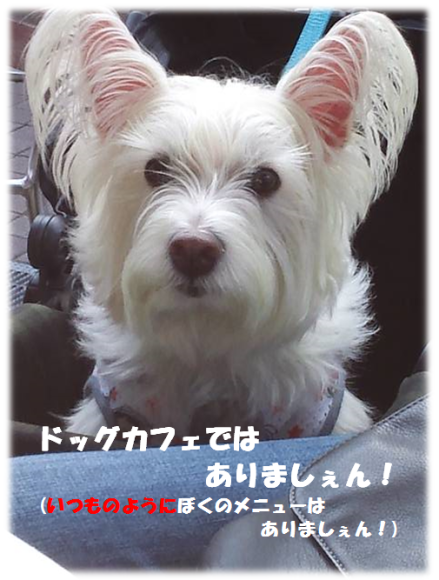 b0242873_00541712.png
