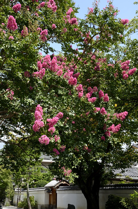 f0108478_14495544.jpg