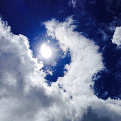 e0095183_11092809.jpg