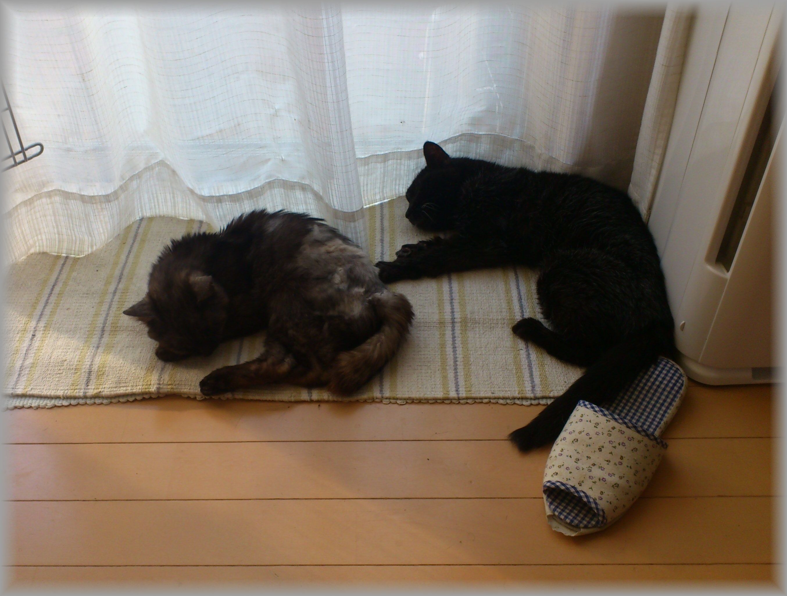 c0136090_21313691.jpg