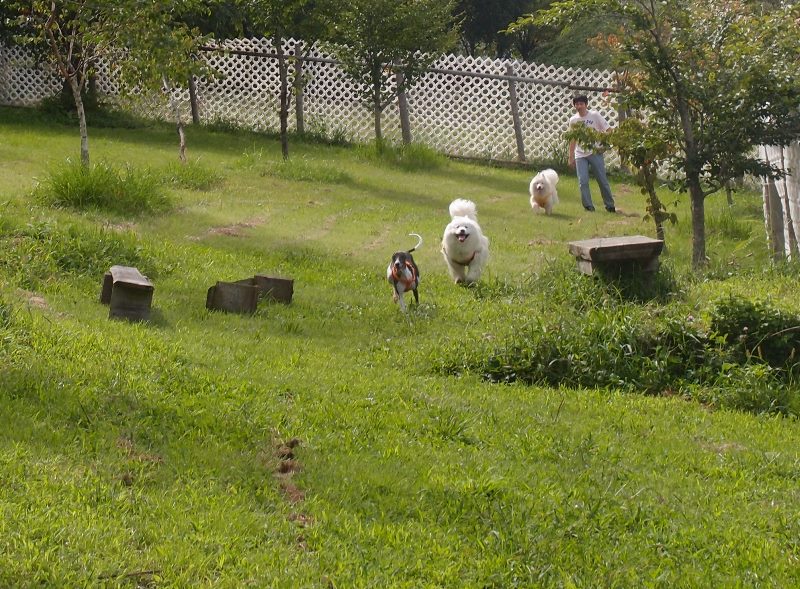 e0018604_20400723.jpg