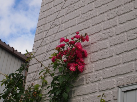 c0117007_97186.jpg