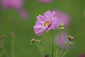 b0159210_14305146.jpg