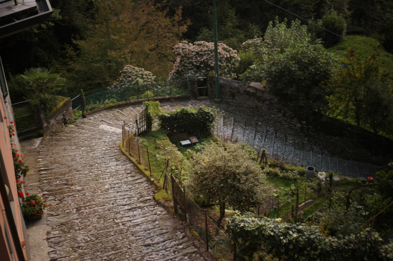 d0104210_6165717.jpg
