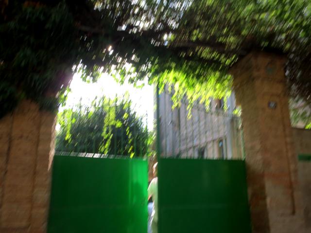 b0064411_01390594.jpg