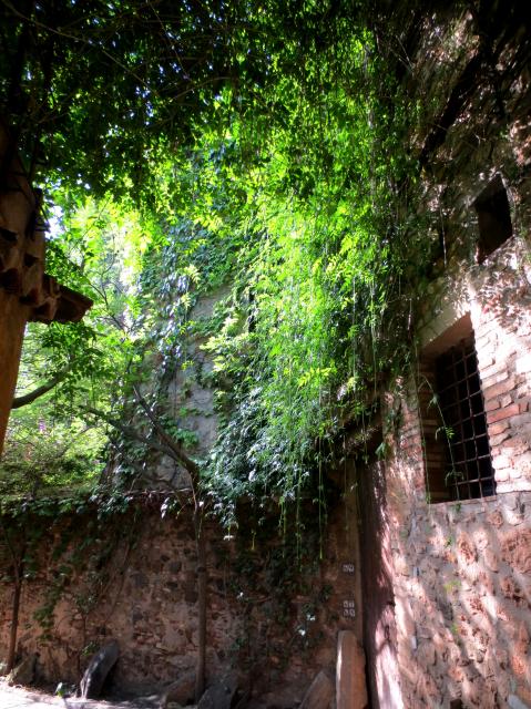 b0064411_01532440.jpg