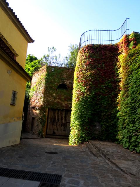 b0064411_01532489.jpg