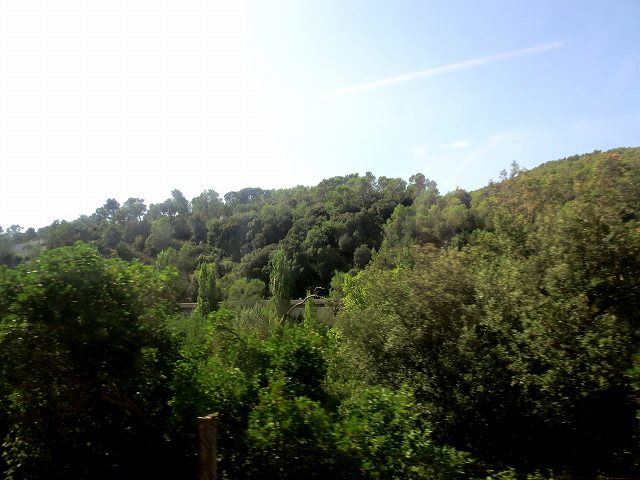 b0064411_04265597.jpg