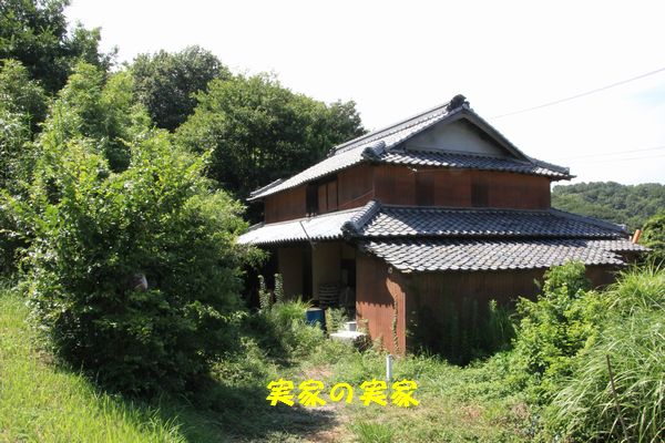 d0224111_10282089.jpg