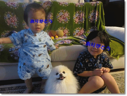 b0167519_21173414.gif