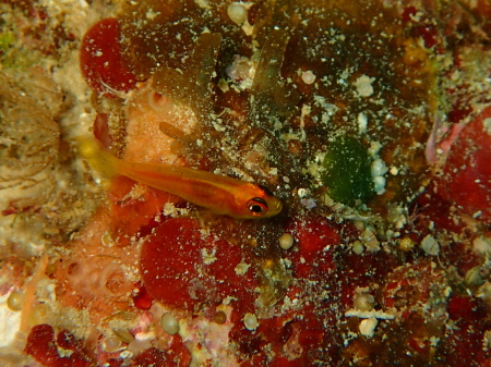 b0100730_1928366.jpg