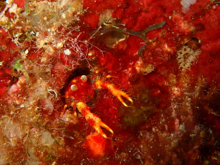 b0100730_19295051.jpg