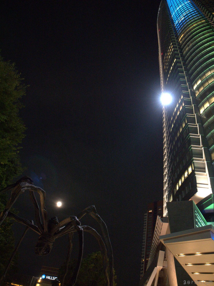 c0133533_23264197.jpg