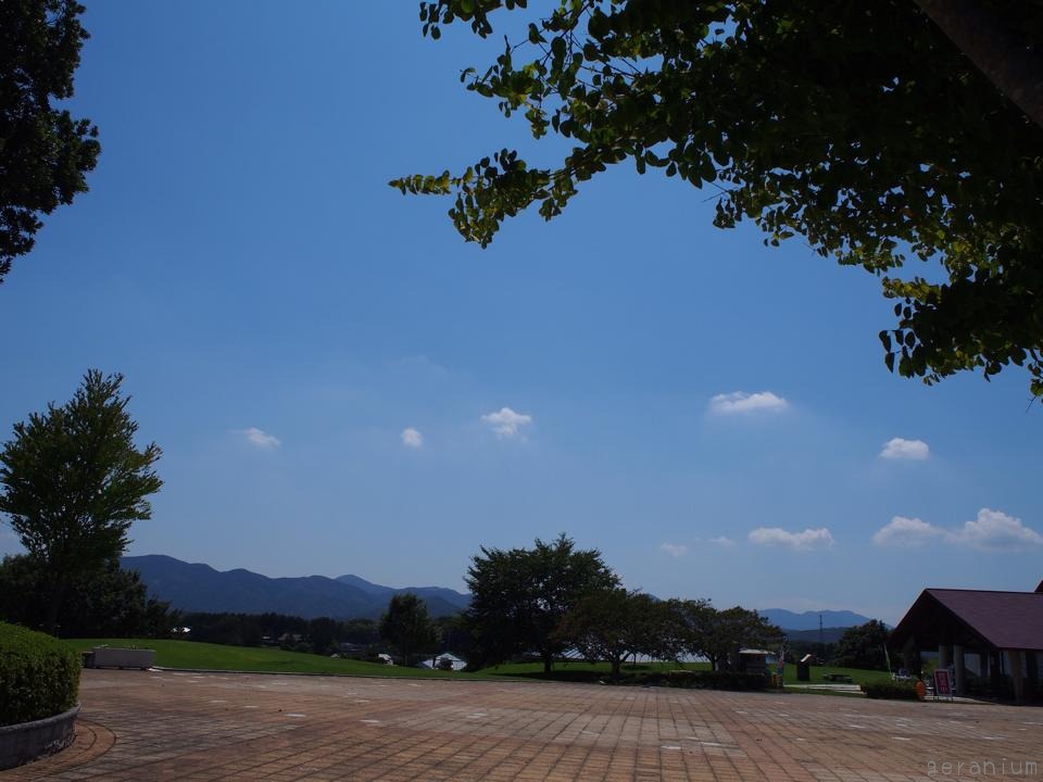 c0133533_23581959.jpg