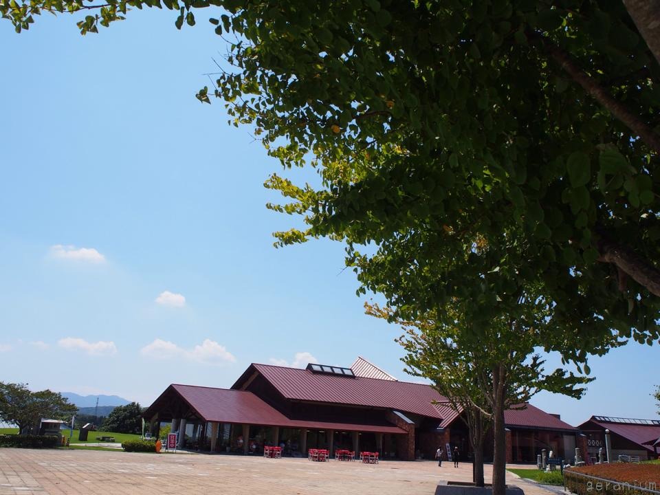 c0133533_23584917.jpg