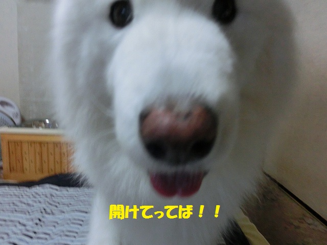 e0196135_2212021.jpg