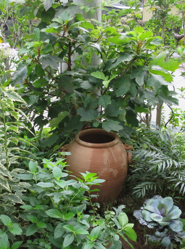 b0178339_16350076.jpg
