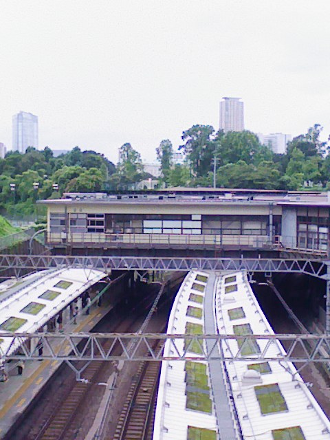 b0031140_197496.jpg