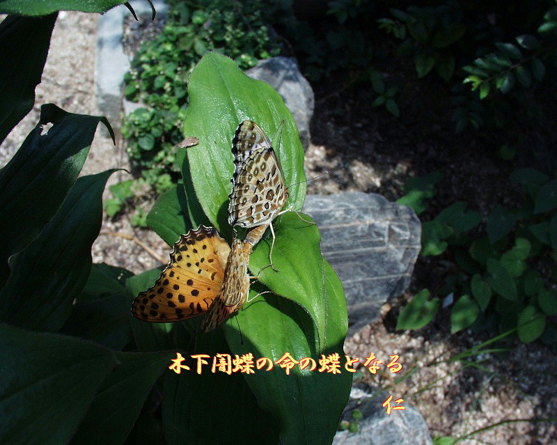 e0017651_23245553.jpg