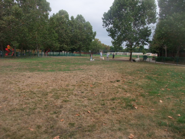 c0115366_1404446.jpg
