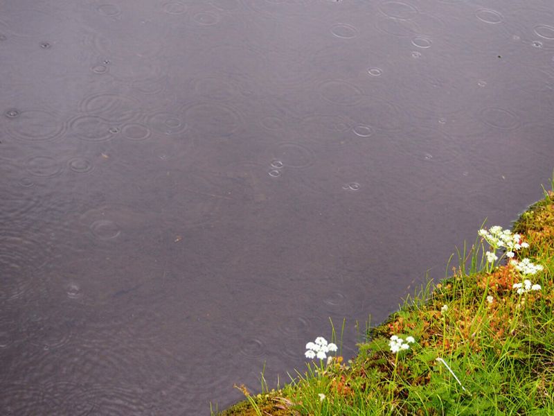 c0321967_2092230.jpg