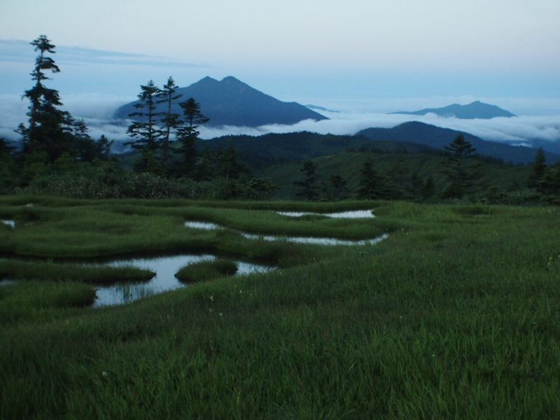 c0321967_2093417.jpg