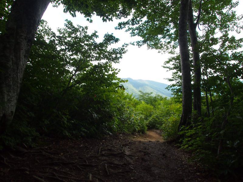 c0321967_2095441.jpg