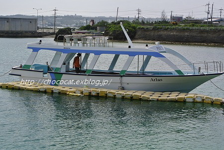 e0128367_1539264.jpg