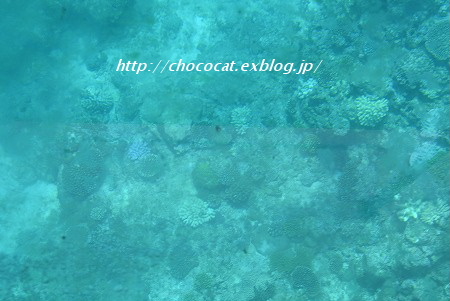 e0128367_1540222.jpg