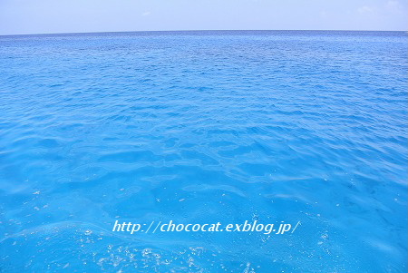 e0128367_15413795.jpg