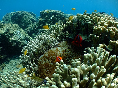 b0033573_15345077.jpg