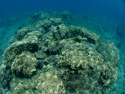b0033573_15345659.jpg