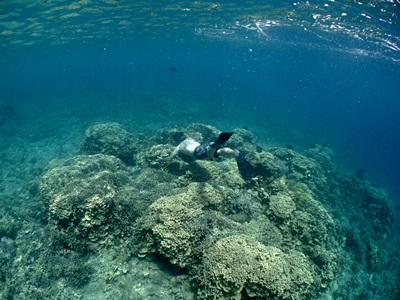 b0033573_15351329.jpg