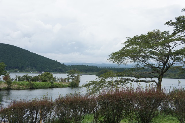 c0163878_10513133.jpg