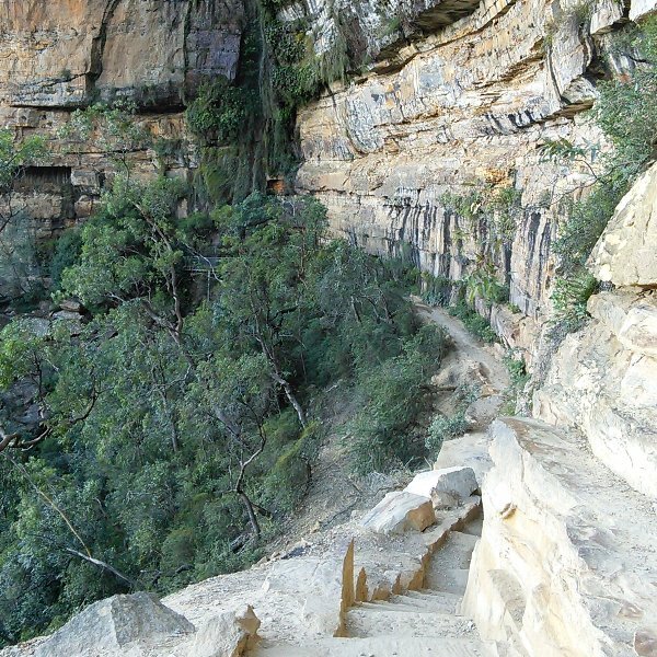 e0108979_1037040.jpg