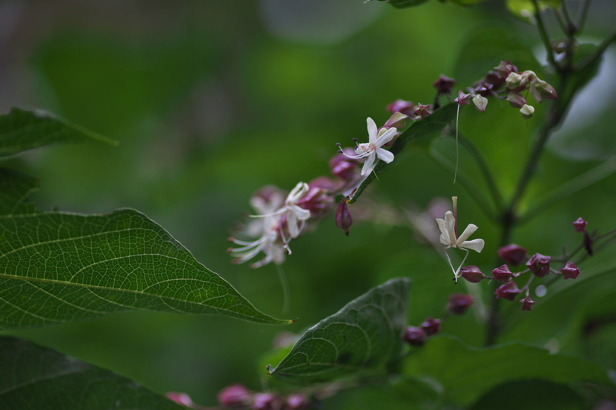 a0083081_1011438.jpg