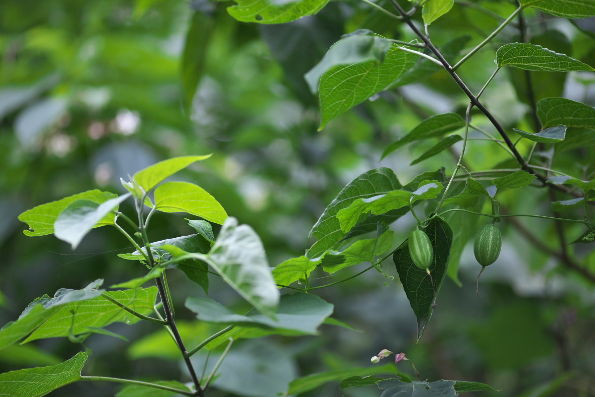 a0083081_10114830.jpg